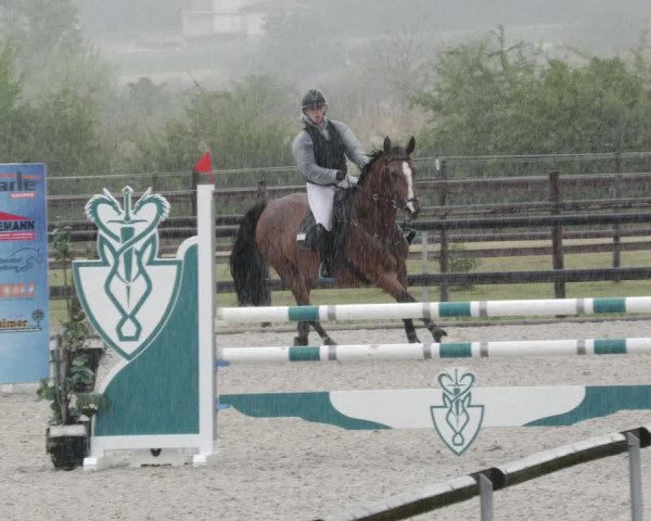 Reitturnier Worms-Pfeddersheim / Reitsportanlage Wittemer 2023