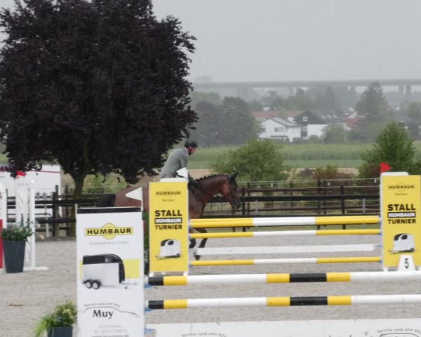 Reitturnier Worms-Pfeddersheim / Reitsportanlage Wittemer 2023