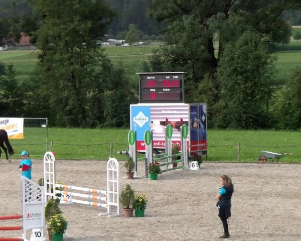 Reitturnier Gossau 2023