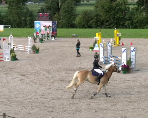 Reitturnier Gossau 2023