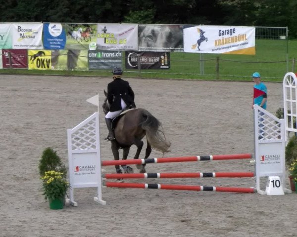 Reitturnier Gossau 2023