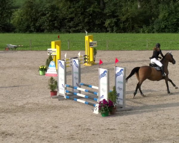 Reitturnier Gossau 2023