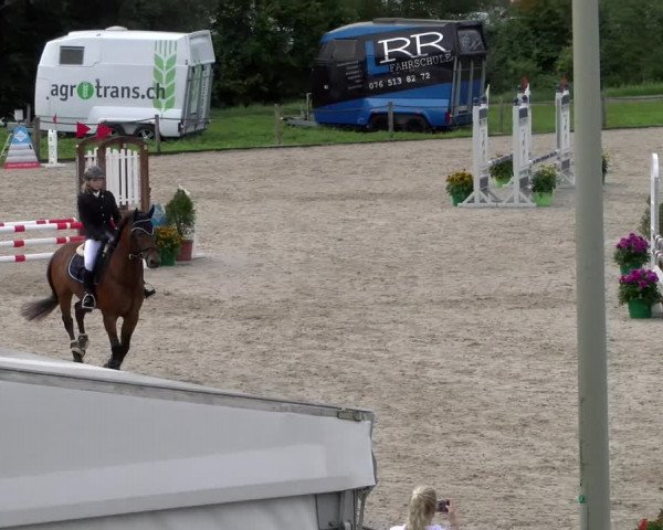 Reitturnier Gossau 2023