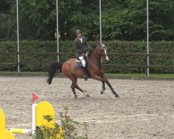 Reitturnier Klein Roscharden 2023