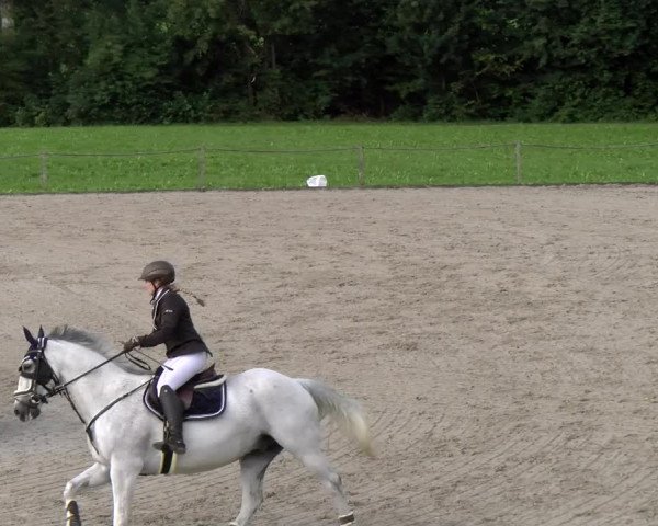 Reitturnier Gossau 2023