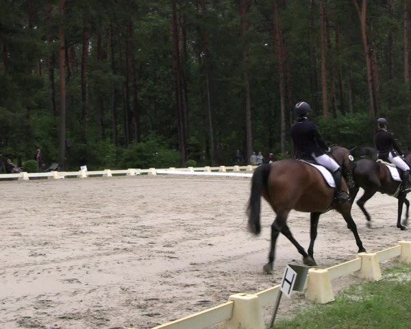 Reitturnier Dannenberg 2023