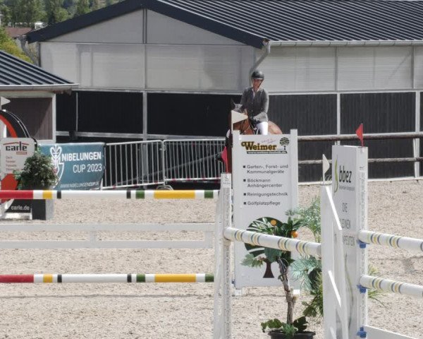 Reitturnier Worms-Pfeddersheim / Reitsportanlage Wittemer 2023