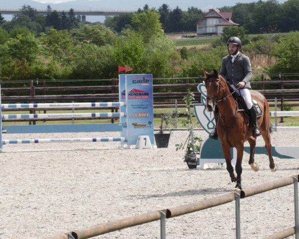 Reitturnier Worms-Pfeddersheim / Reitsportanlage Wittemer 2023