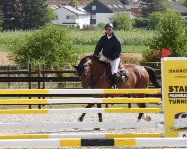 Reitturnier Worms-Pfeddersheim / Reitsportanlage Wittemer 2023