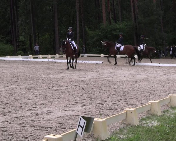 Reitturnier Dannenberg 2023