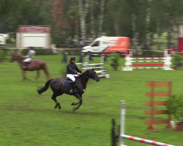 Reitturnier Etingen 2023