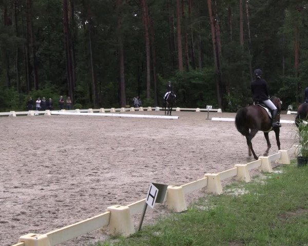 Reitturnier Dannenberg 2023