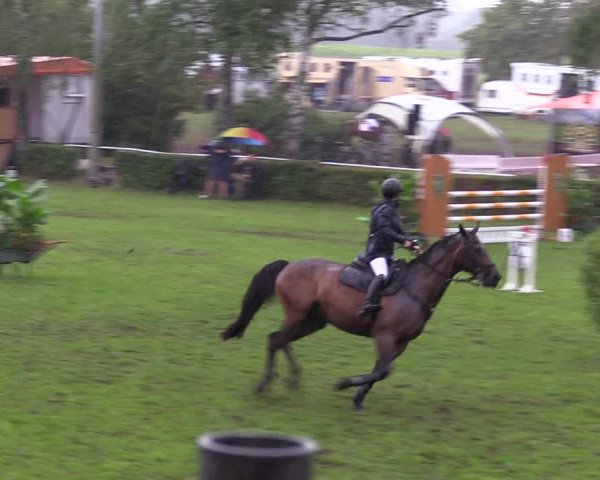 Reitturnier Etingen 2023