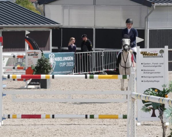 Reitturnier Worms-Pfeddersheim / Reitsportanlage Wittemer 2023