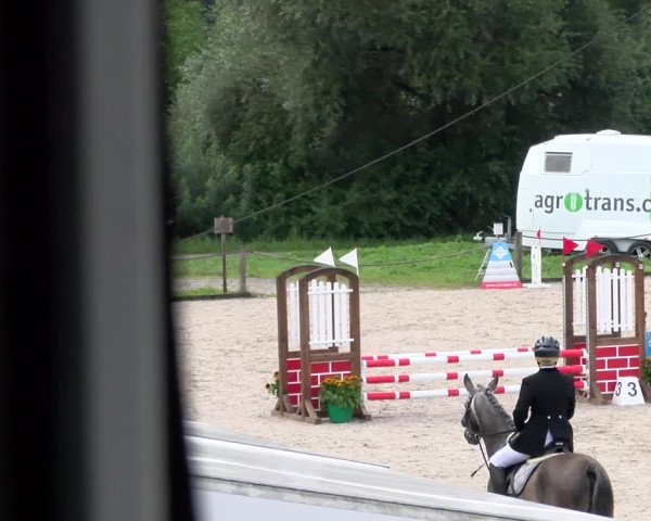 Reitturnier Gossau 2023