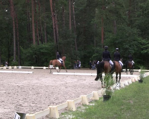 Reitturnier Dannenberg 2023