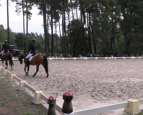Reitturnier Dannenberg 2023