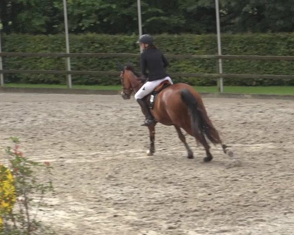 Reitturnier Klein Roscharden 2023
