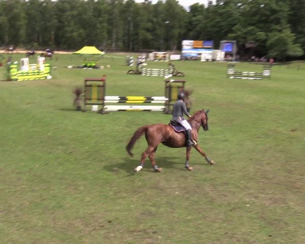 Reitturnier Gallinchen 2023
