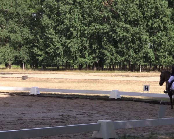 Reitturnier Gallinchen 2023
