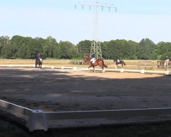 Reitturnier Gallinchen 2023