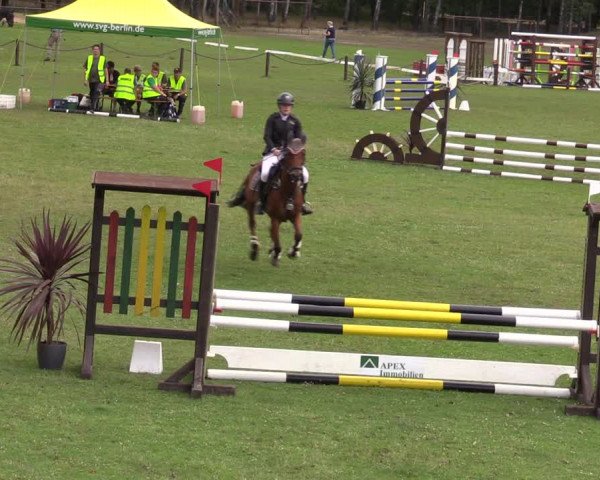 Reitturnier Gallinchen 2023