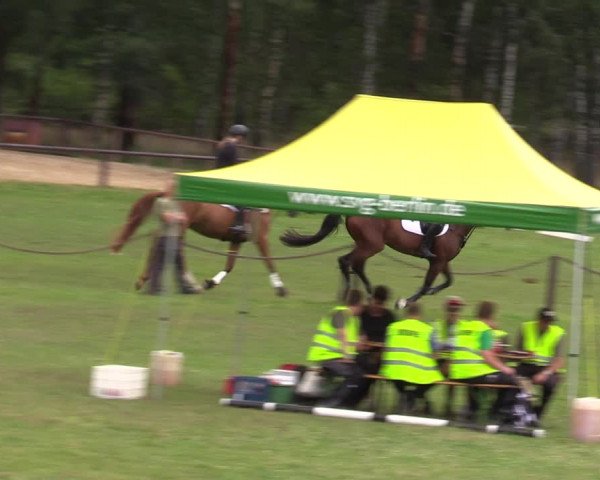 Reitturnier Gallinchen 2023