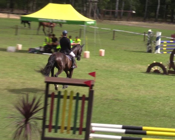 Reitturnier Gallinchen 2023