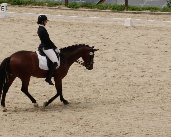 Reitturnier Bübinger Hof 2023