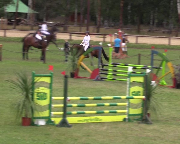 Reitturnier Gallinchen 2023