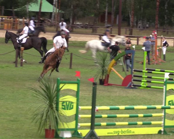 Reitturnier Gallinchen 2023