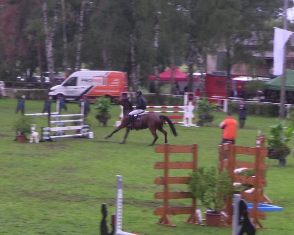 Reitturnier Etingen 2023