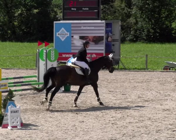 Reitturnier Gossau 2023