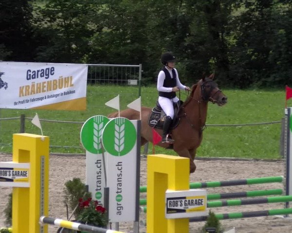Reitturnier Gossau 2023