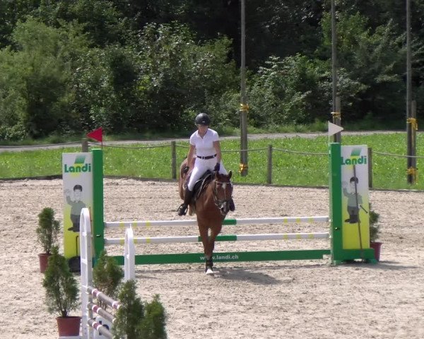 Reitturnier Gossau 2023