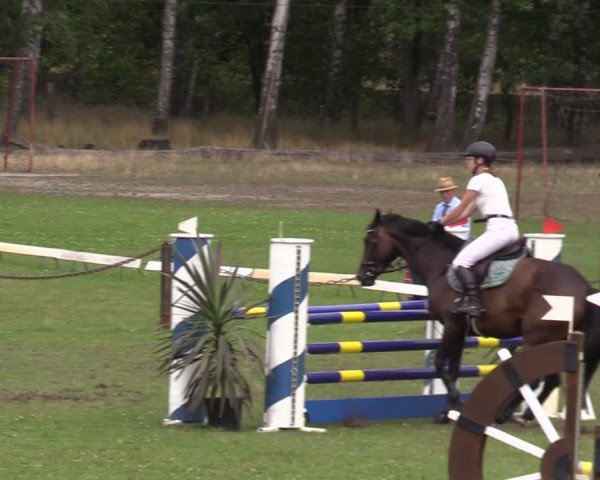 Reitturnier Gallinchen 2023