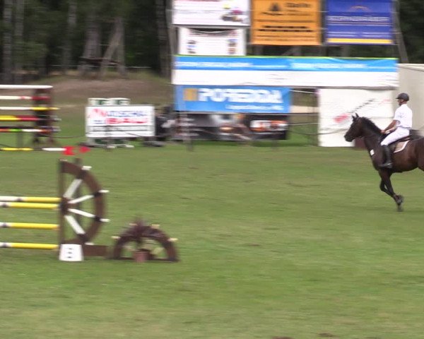 Reitturnier Gallinchen 2023