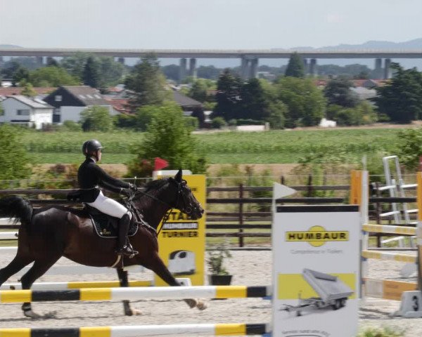 Reitturnier Worms-Pfeddersheim / Reitsportanlage Wittemer 2023