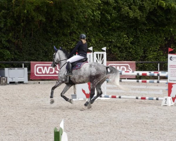 Reitturnier Worms-Pfeddersheim / Reitsportanlage Wittemer 2023