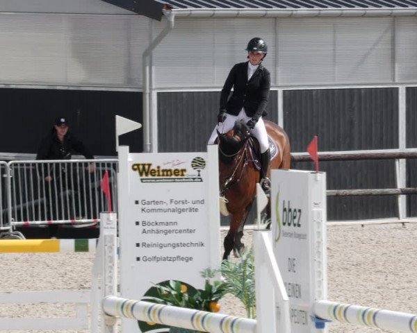 Reitturnier Worms-Pfeddersheim / Reitsportanlage Wittemer 2023