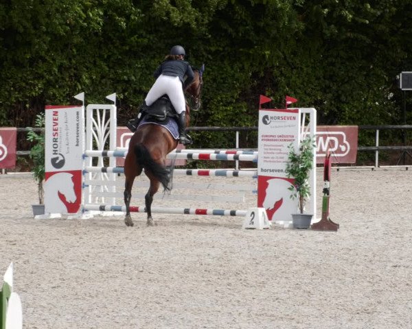 Reitturnier Worms-Pfeddersheim / Reitsportanlage Wittemer 2023
