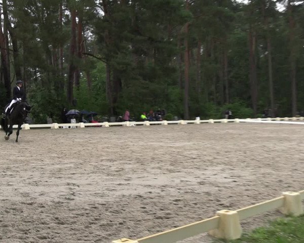 Reitturnier Dannenberg 2023