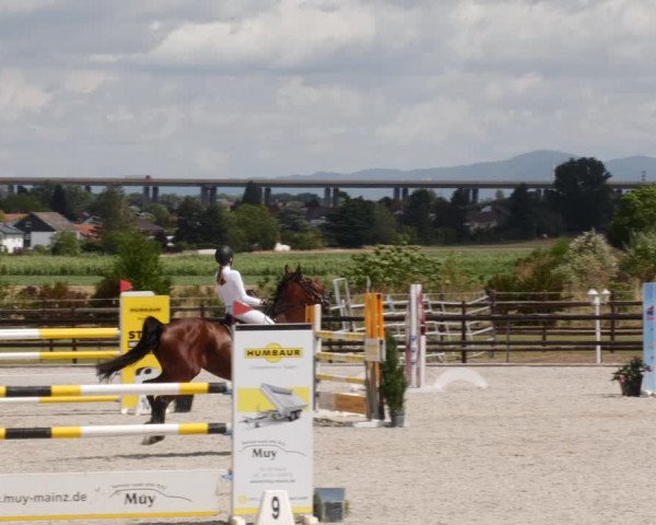 Reitturnier Worms-Pfeddersheim / Reitsportanlage Wittemer 2023