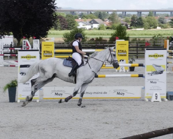 Reitturnier Worms-Pfeddersheim / Reitsportanlage Wittemer 2023