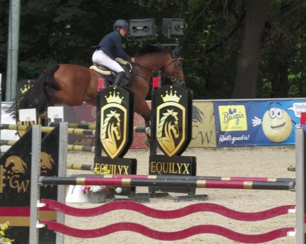 Reitturnier Karlsfeld 2023