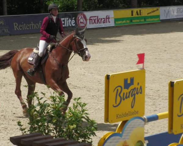 Reitturnier Karlsfeld 2023