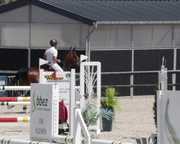 Reitturnier Worms-Pfeddersheim / Reitsportanlage Wittemer 2023