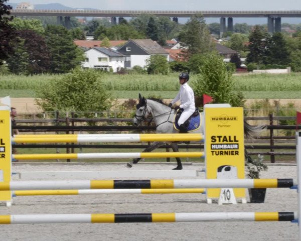 Reitturnier Worms-Pfeddersheim / Reitsportanlage Wittemer 2023