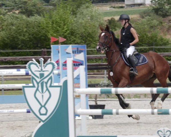 Reitturnier Worms-Pfeddersheim / Reitsportanlage Wittemer 2023