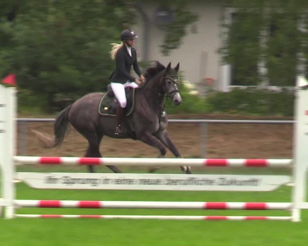 Reitturnier Dannenberg 2023